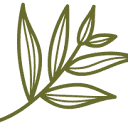 Bare Botanics logo